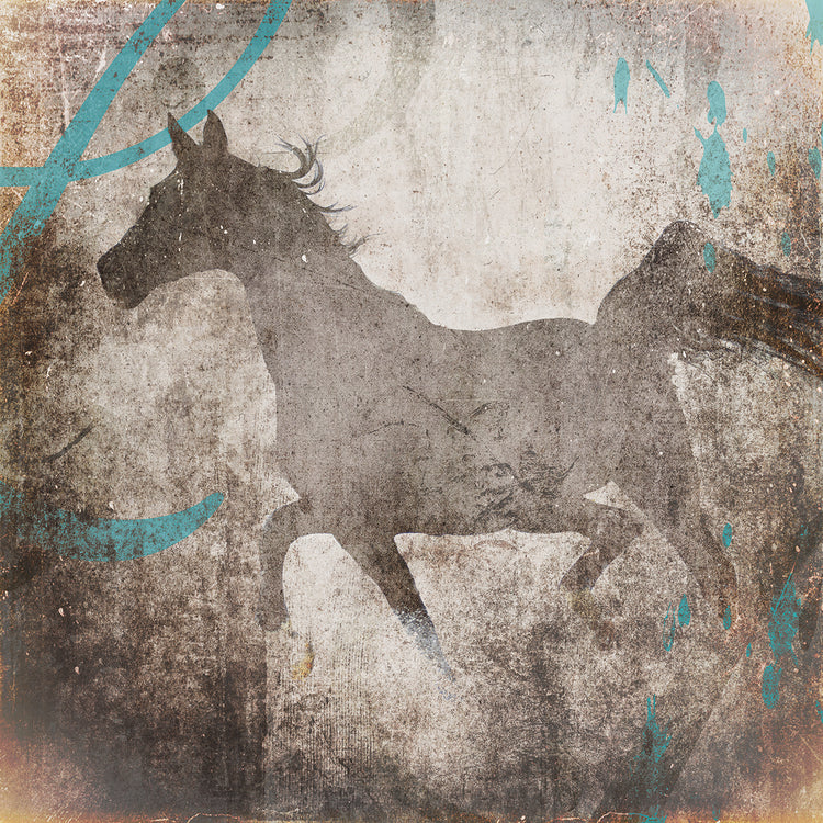 GypsyHorse Collection # 7