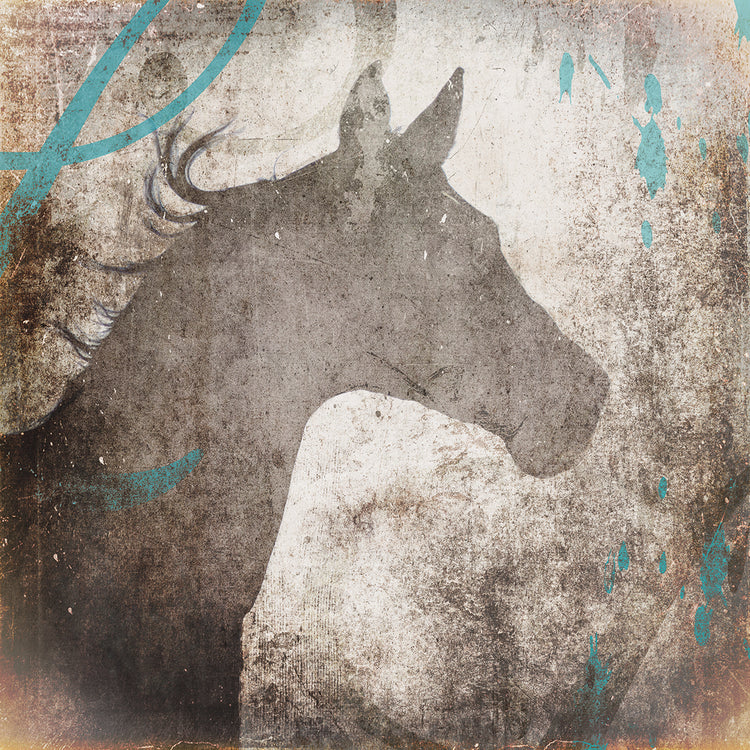 GypsyHorse Collection # 8