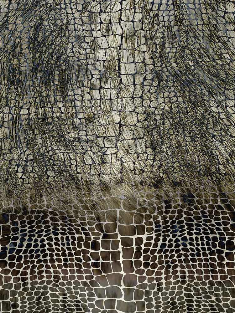 Animal Surface Pattern # 3