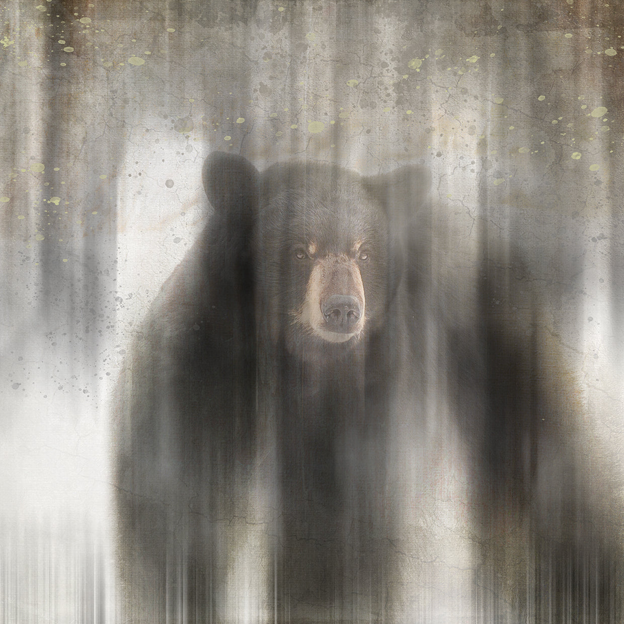 Antique Wildlife bear