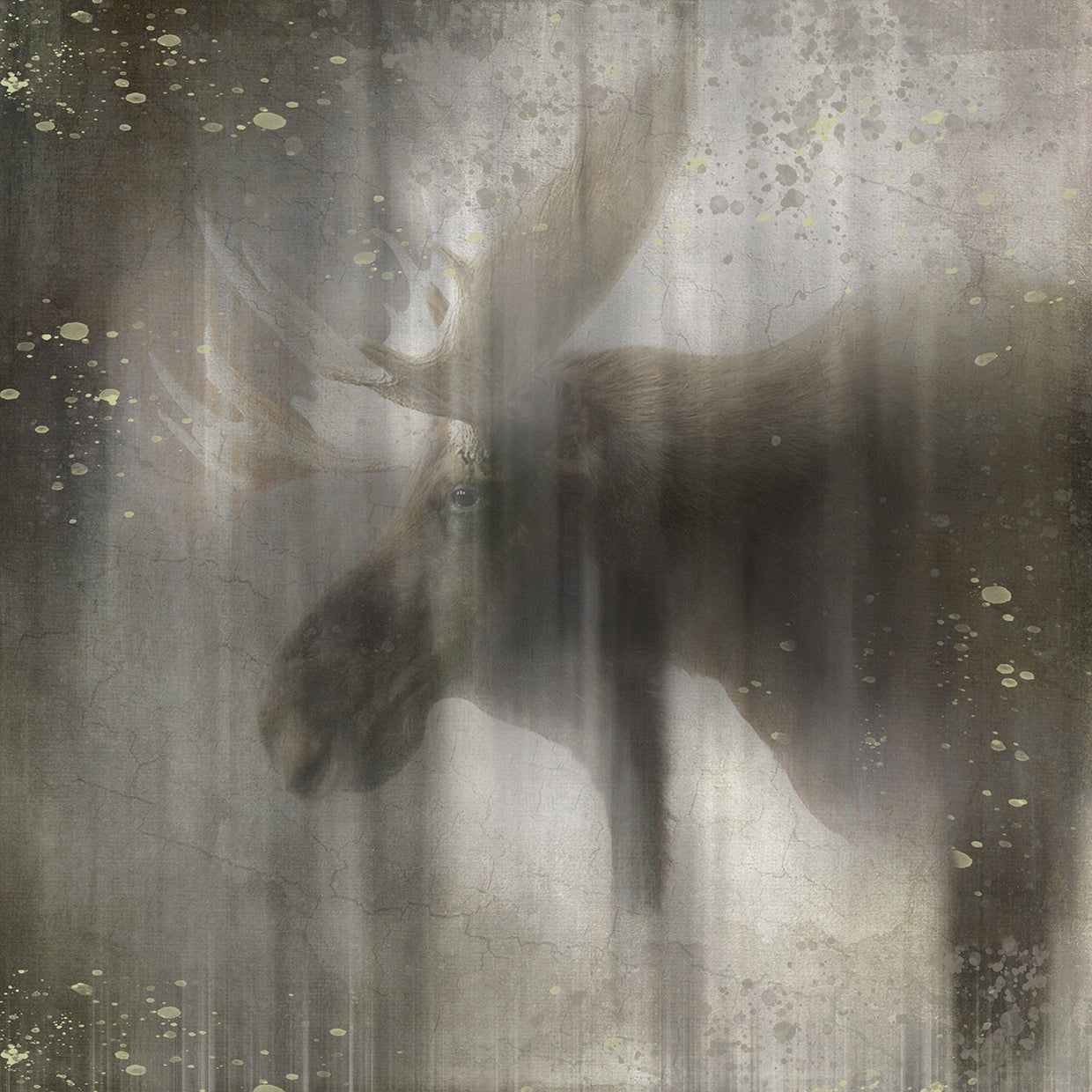 Antique Wildlife Moose