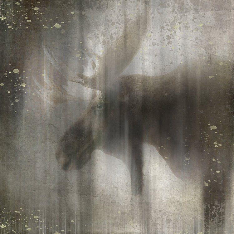 Antique Wildlife Moose