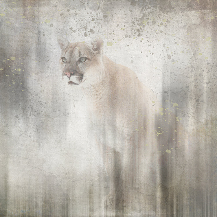 Antique Wildlife Lion