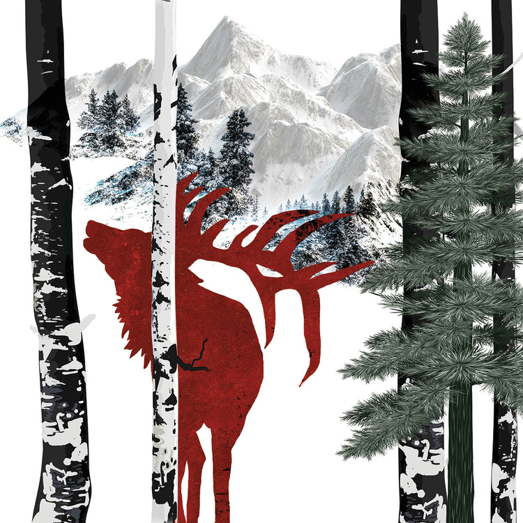 Winter Elk