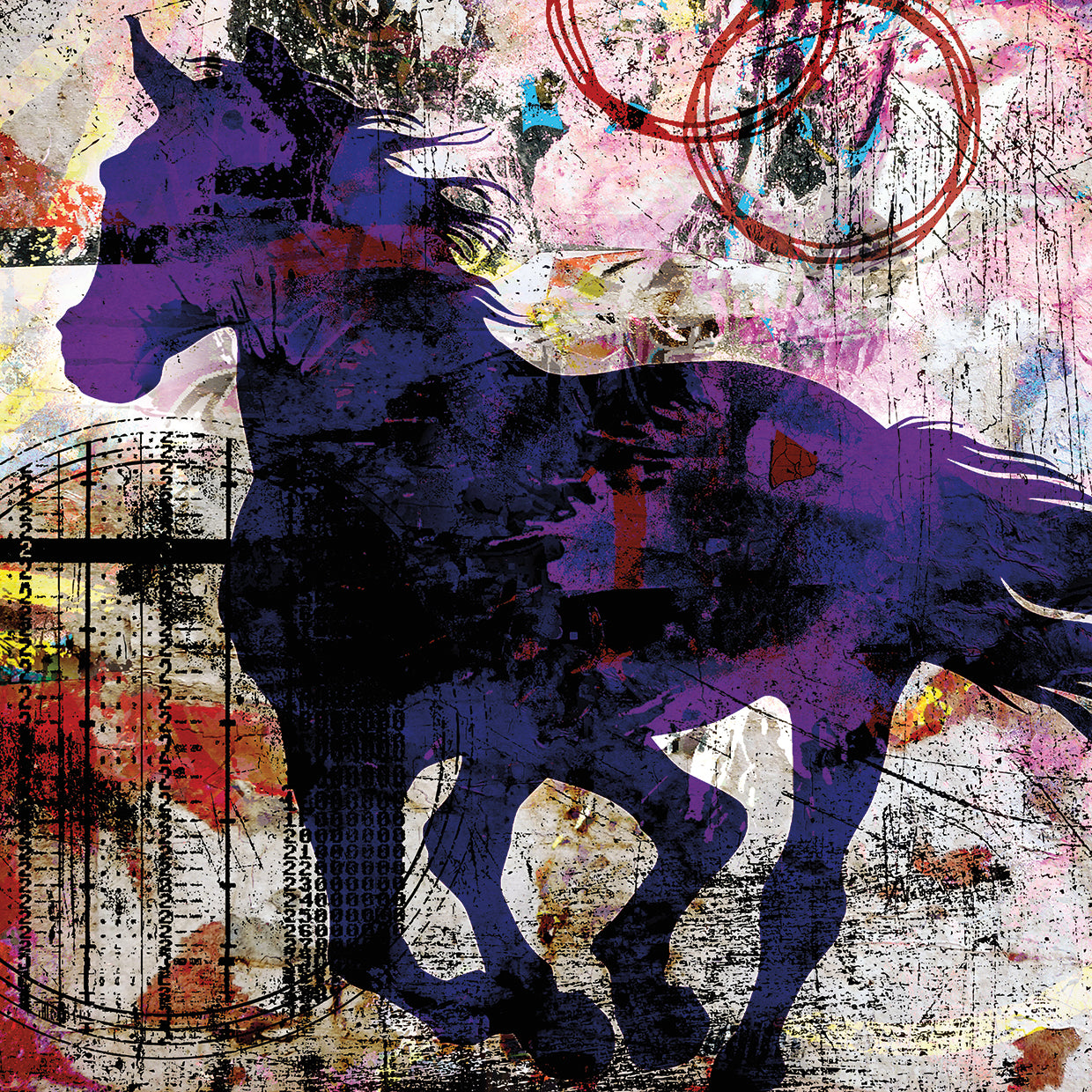 My Painted Pony 01