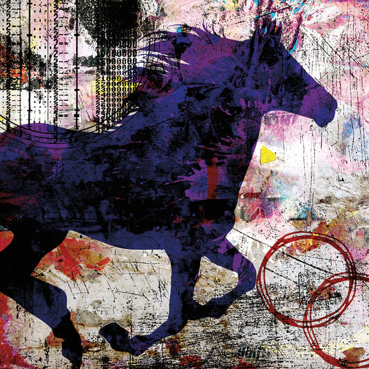 My Painted Pony 02 Canvas Print