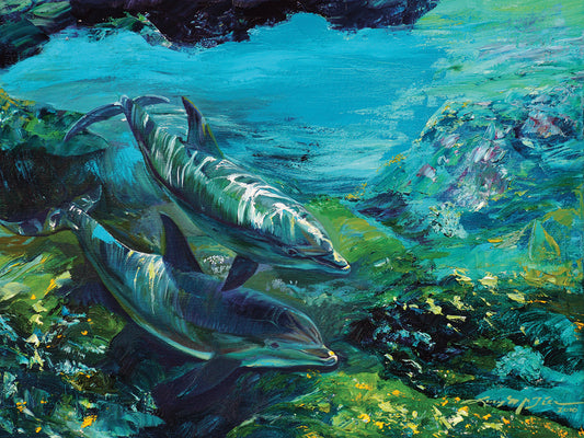 Tranquility Atlantic Bottlenose Dolphins Canvas Art