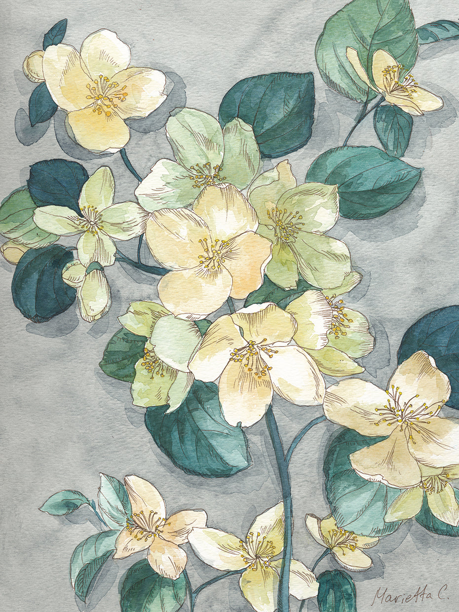 Flowers Study 2