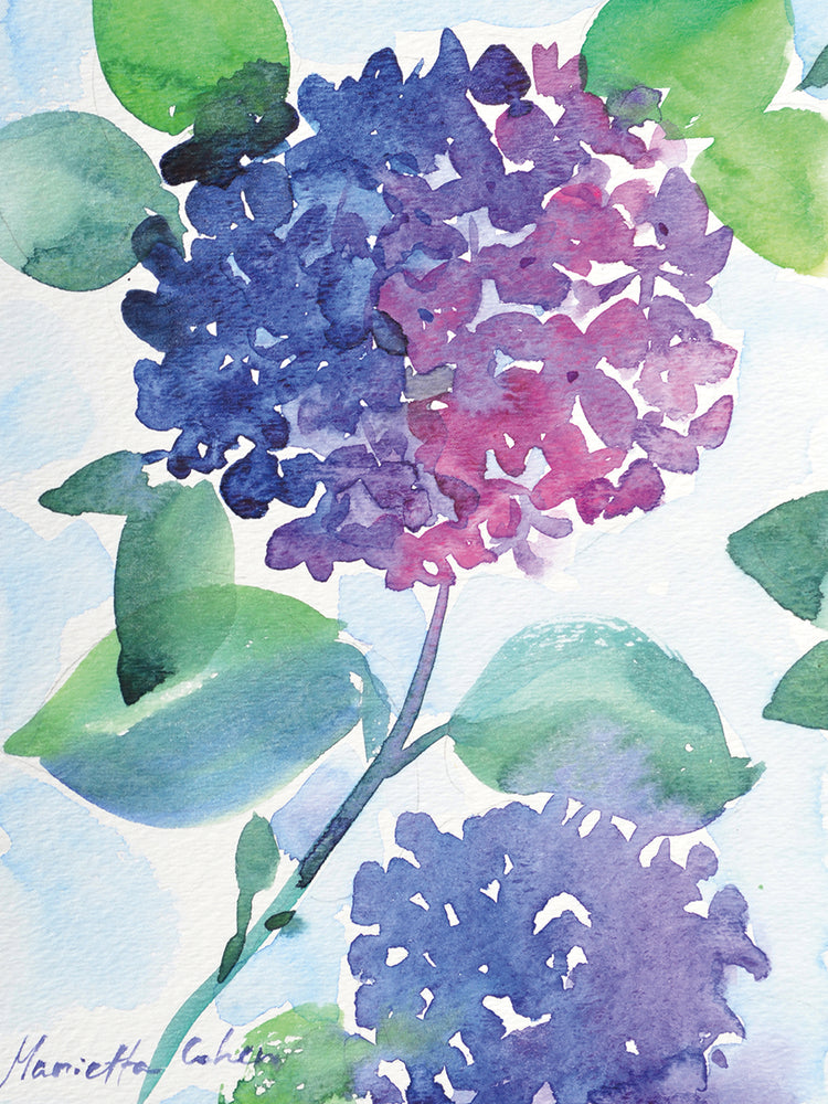 Watercolor Hortensia 1