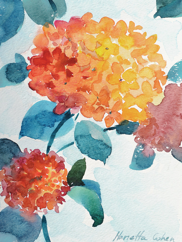 Watercolor Hortensia 2