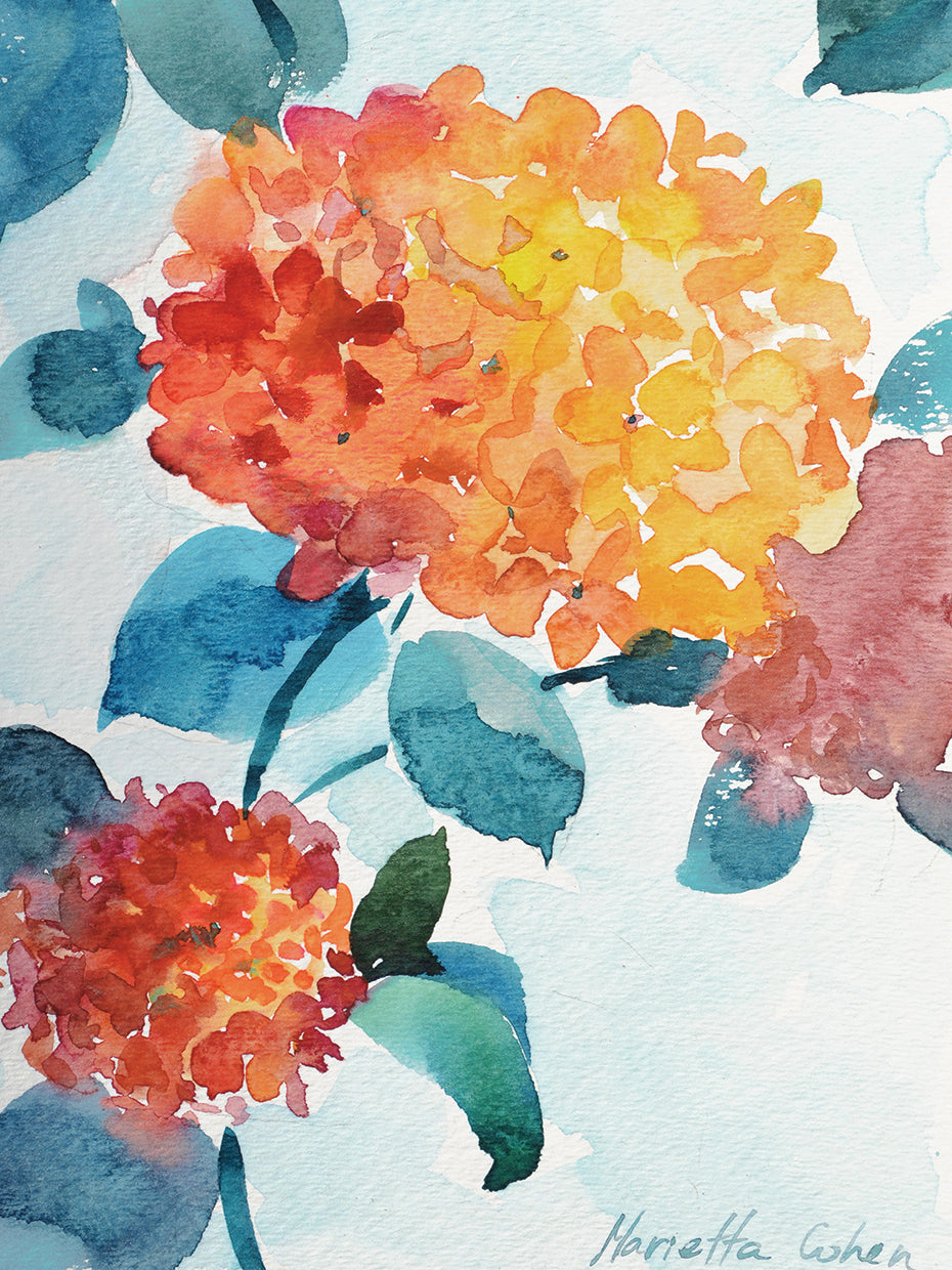 Watercolor Hortensia 2