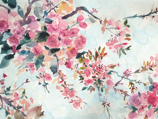 Cherry Blossoms Morning Canvas Art