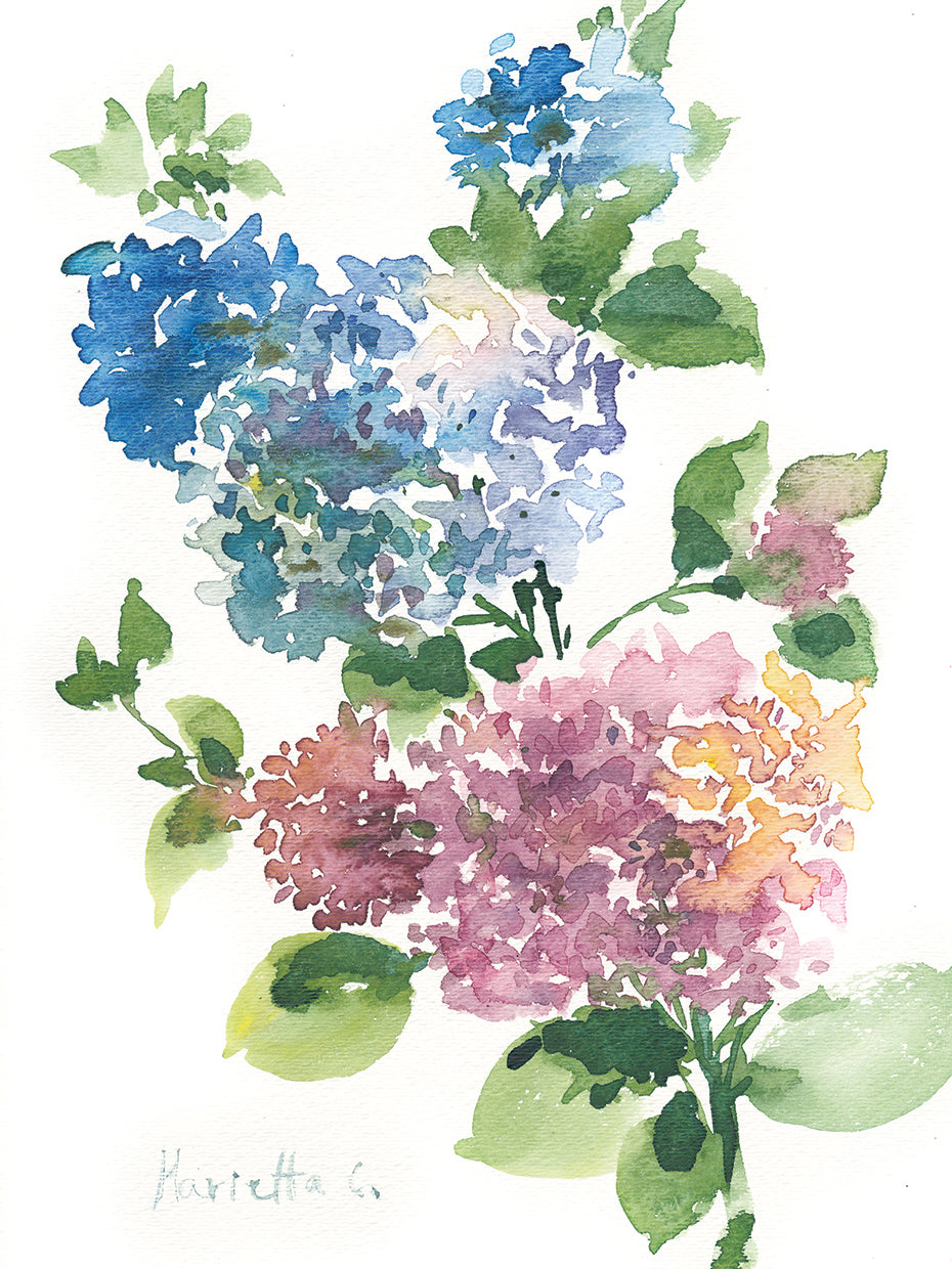 Flower Series 14