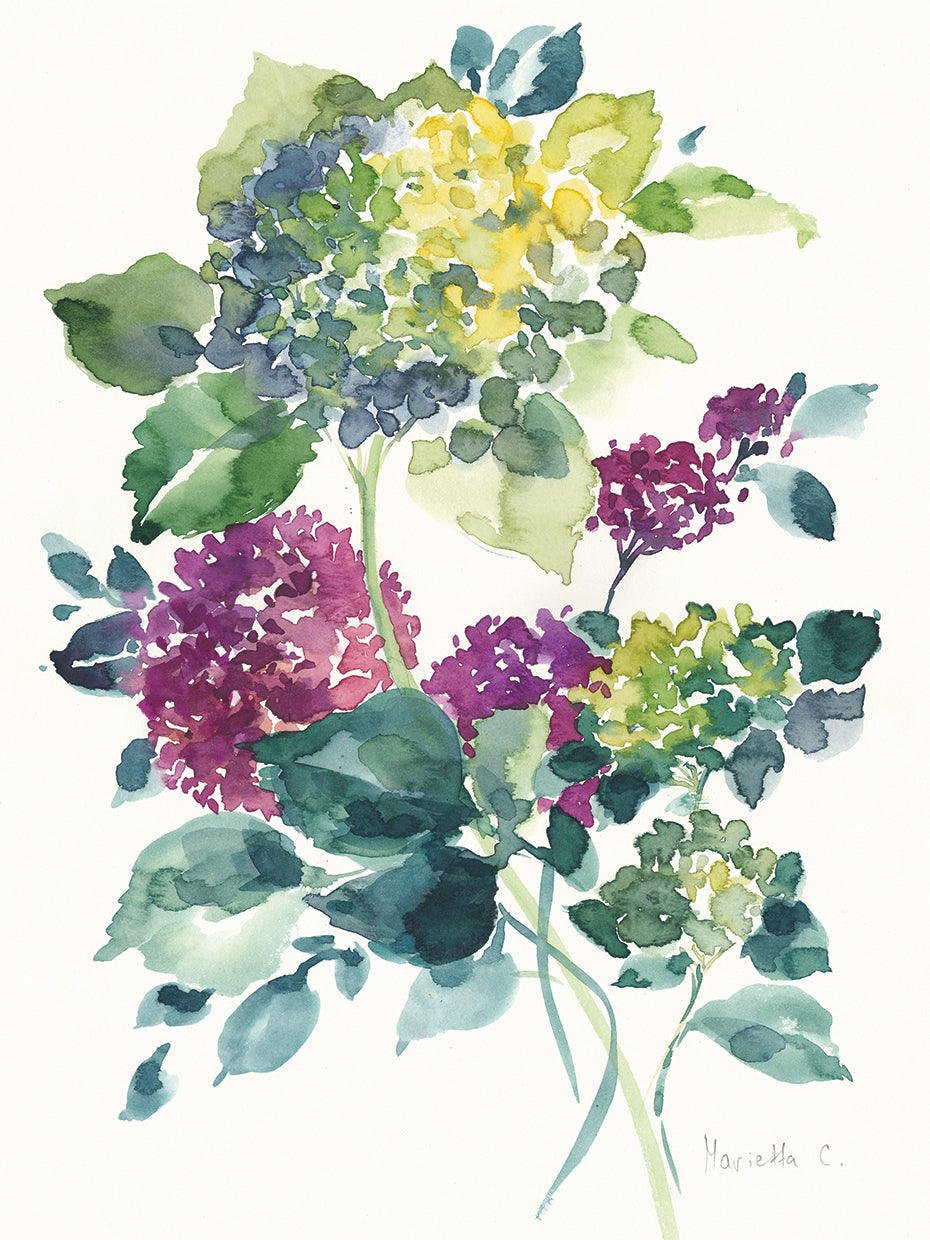 Flower Series 23