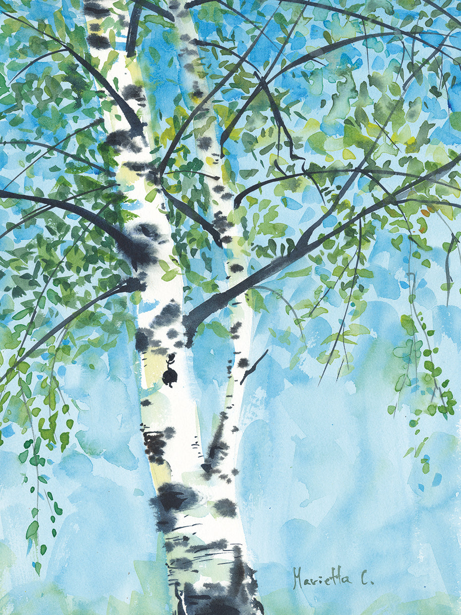 Aspen tree1