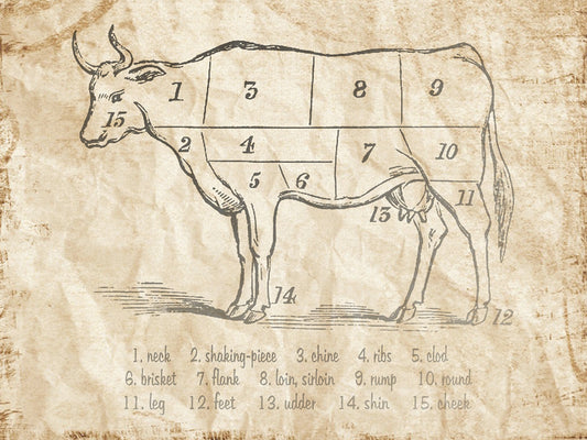 Vintage Meat Chart Canvas Print