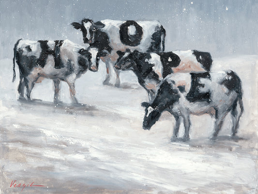 Hope Cows