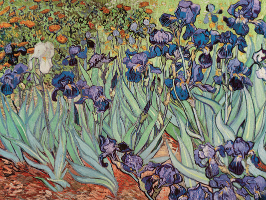 The Iris, 1889 Canvas Art