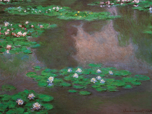 Water Lilies 1