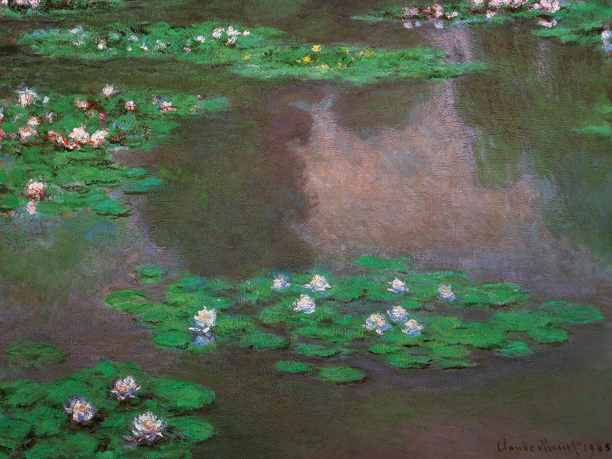 Water Lilies 1