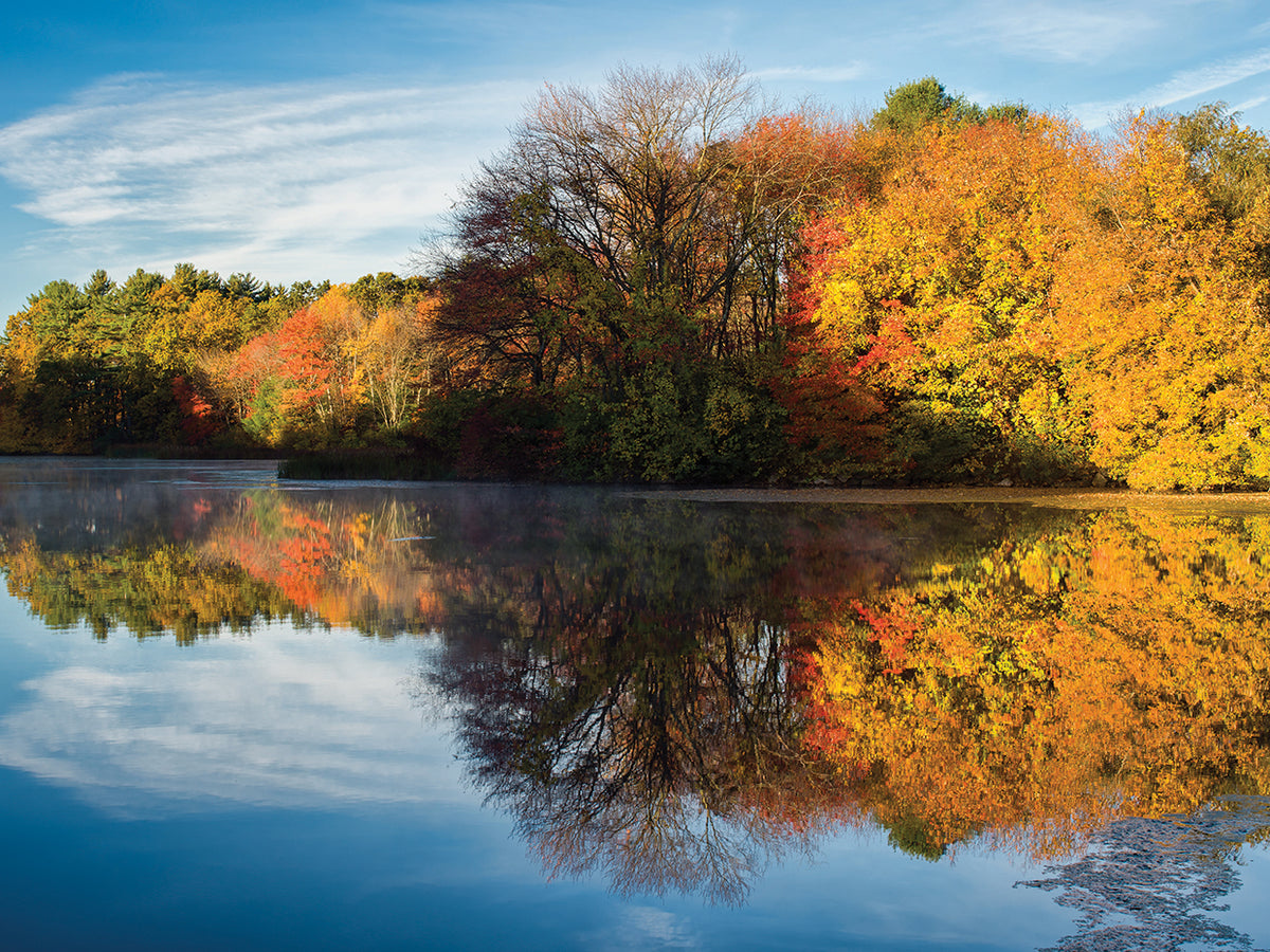 Color On Grist Mill Pond
