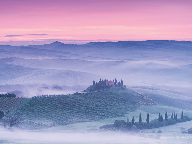 Mist over Belvedere