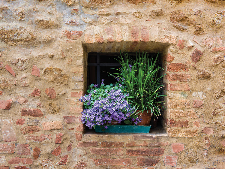 Arte de la lona de la ventana de Pienza
