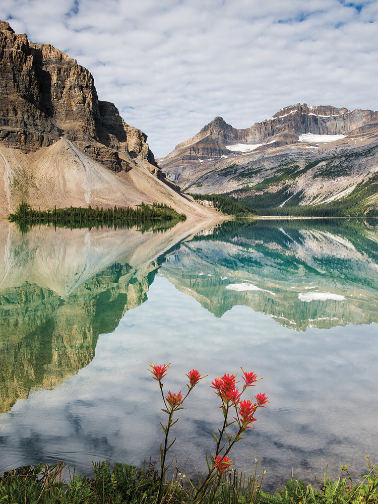 Mirror Mirror Vertical