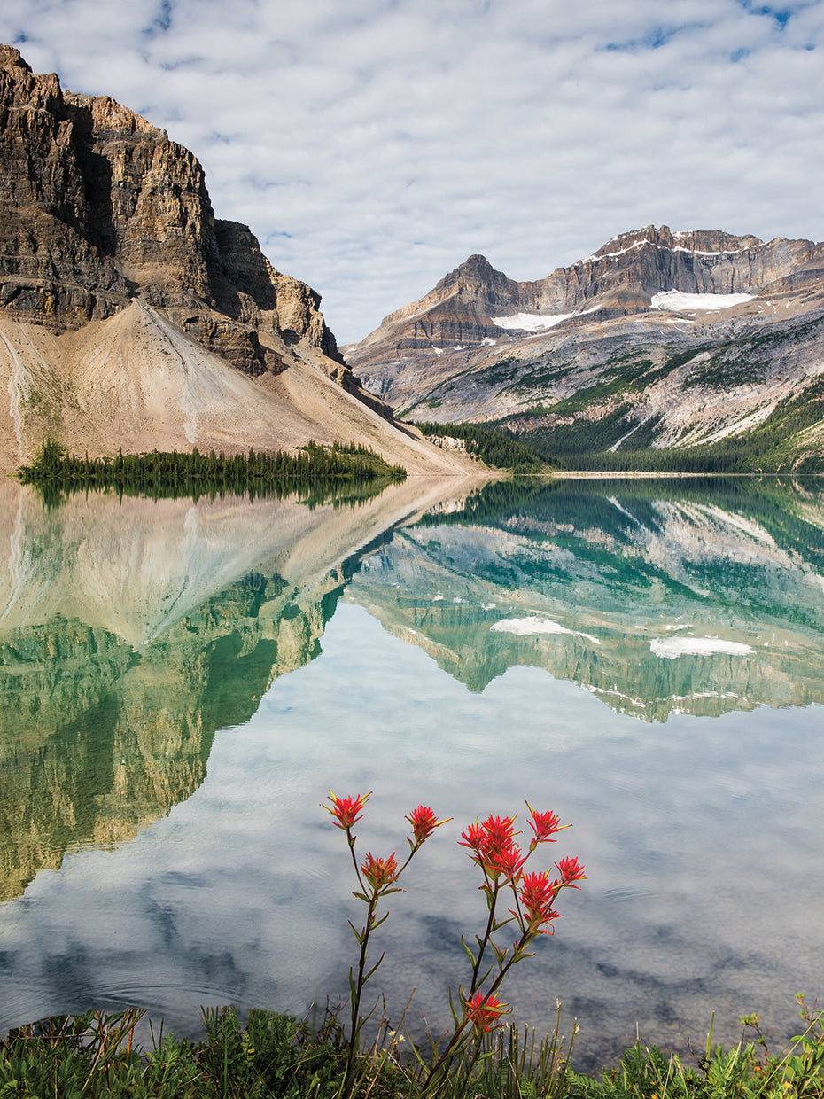 Mirror Mirror Vertical