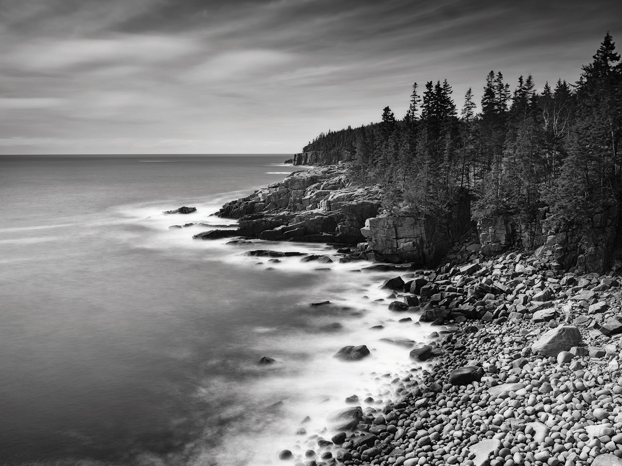 Acadia Coastline B&W