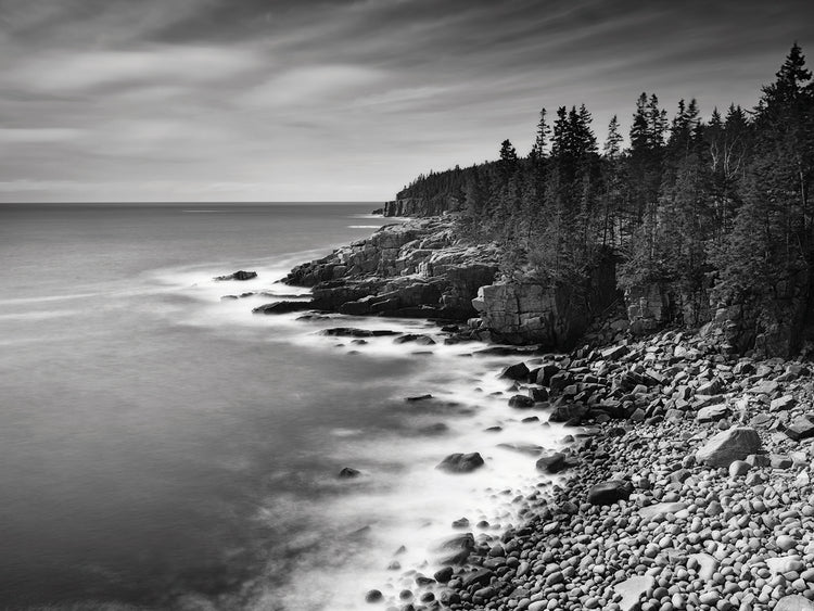 Acadia Coastline B&W