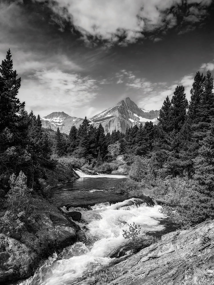 Glacial Creek Monochrome