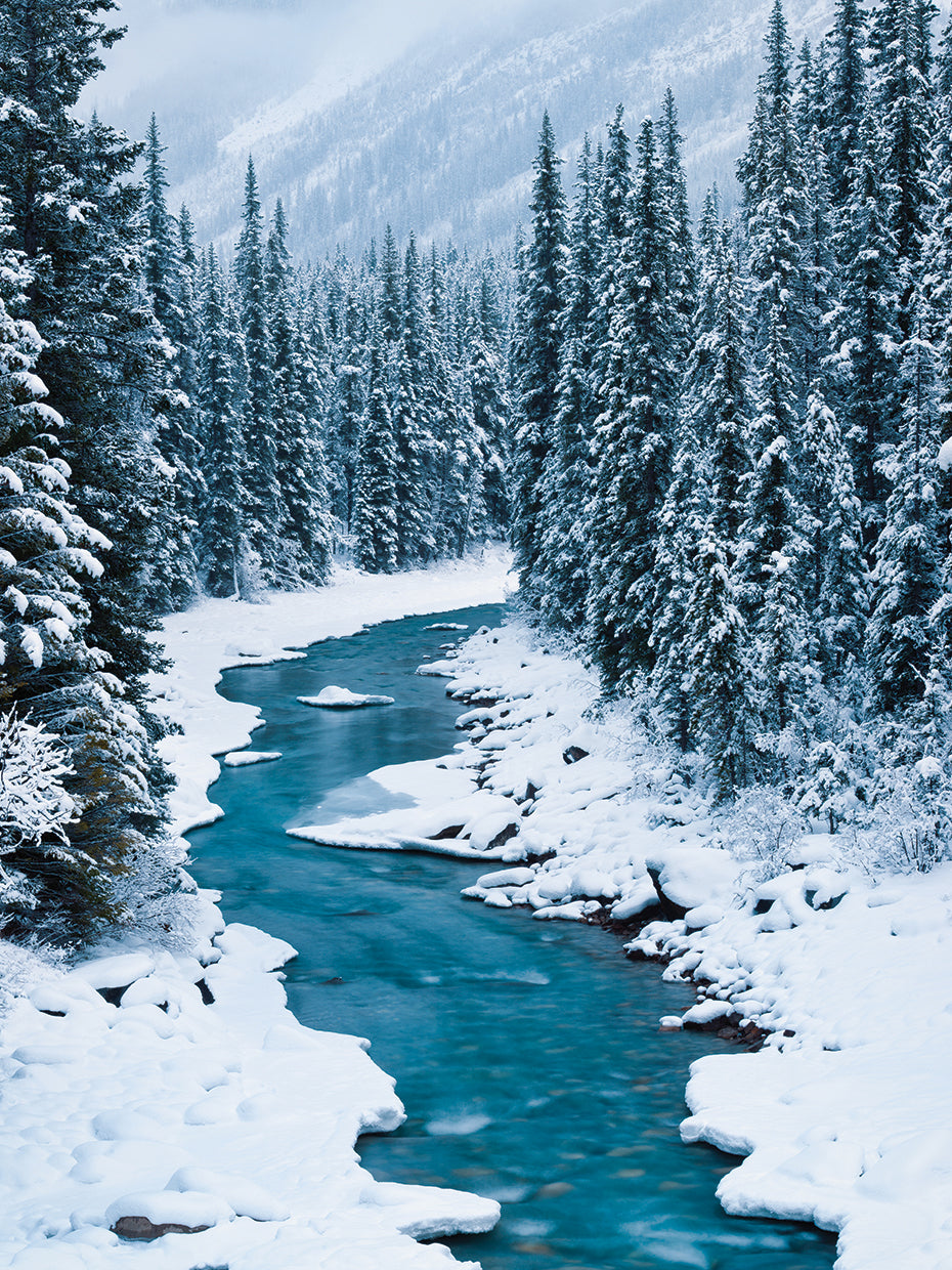 Bend in the North Saskatchewan