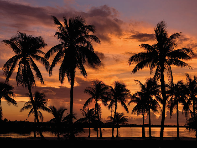 Marathon Key Sunset 9