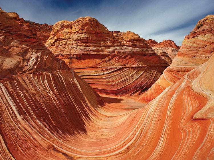 The Wave Classic View