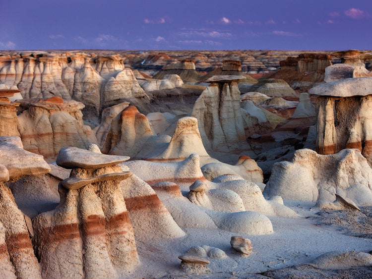 Bisti Badlands 2