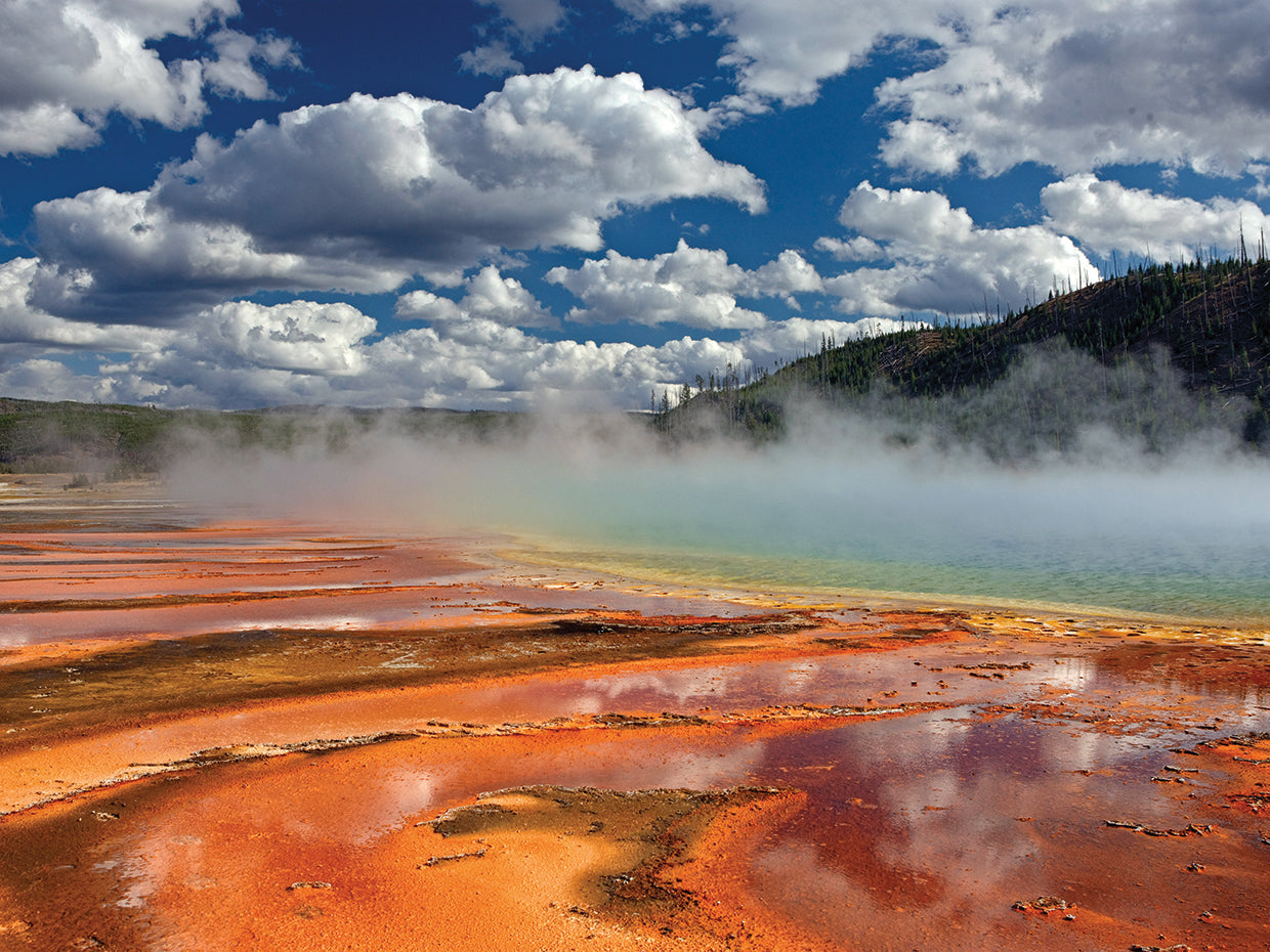 Prismatic Springs
