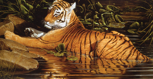 Tiger on Water Canvas Art