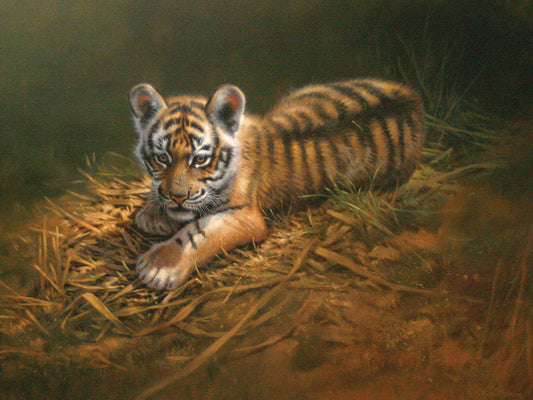 Tiger Cub Canvas Art