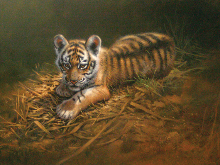 Arte de la lona del cachorro de tigre