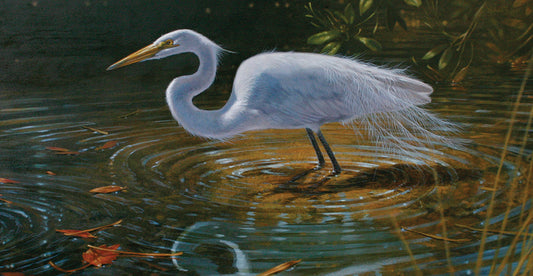 Egret Canvas Art