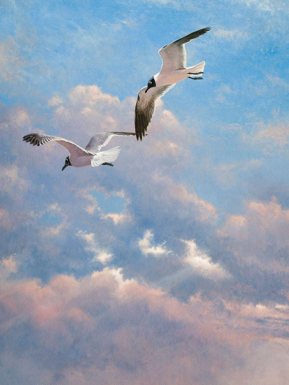 Arte de lienzo volando alto