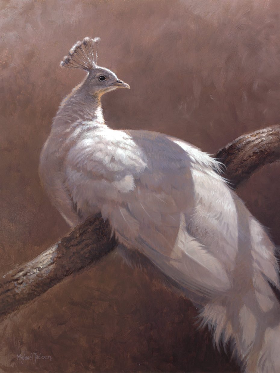 Arte de lienzo de pavo real blanco