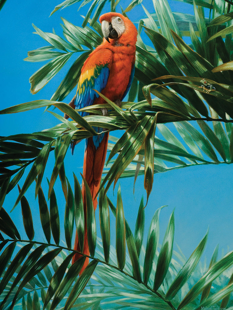 Guacamaya Roja 1 Lienzo