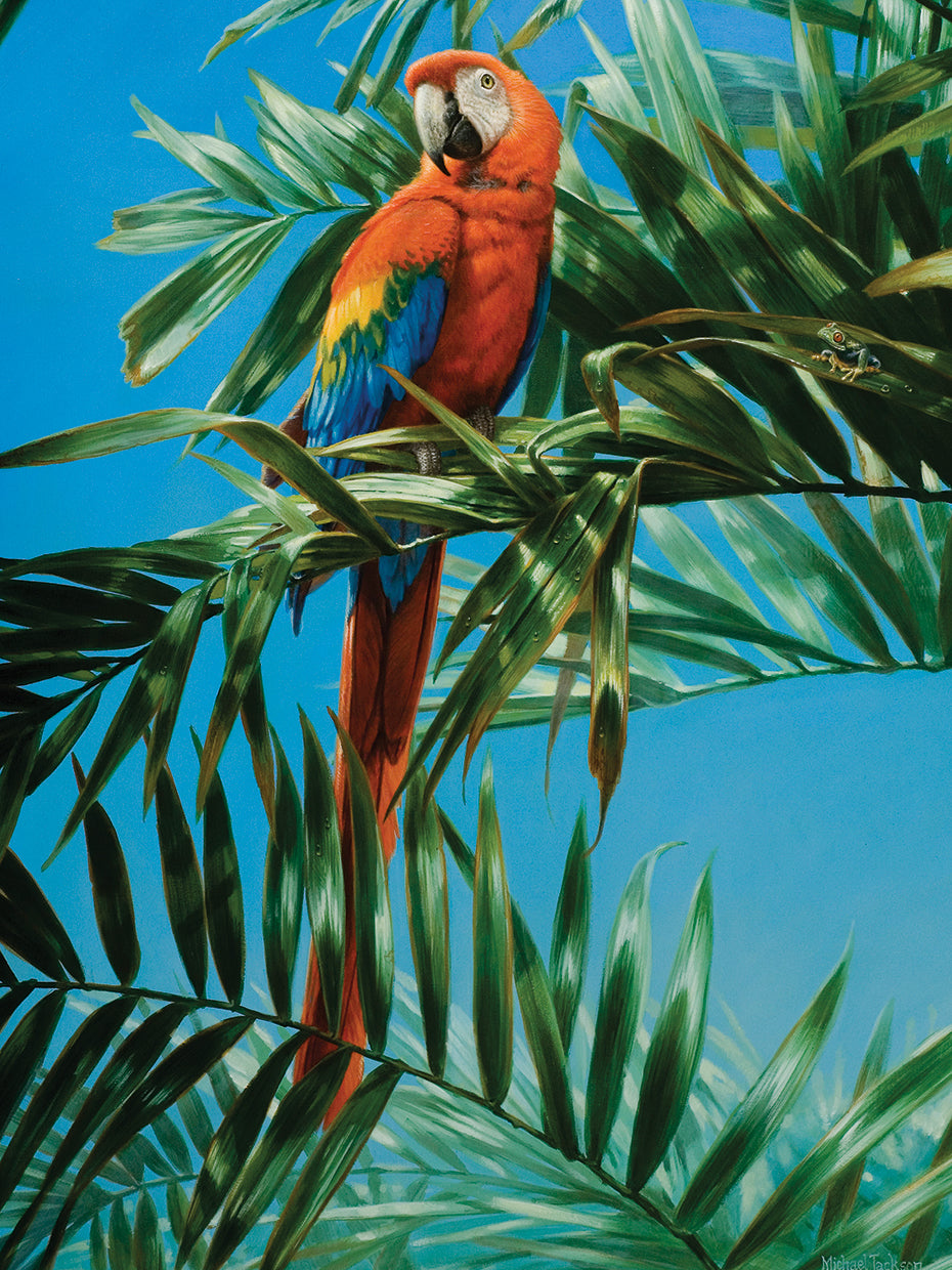 Guacamaya Roja 1 Lienzo