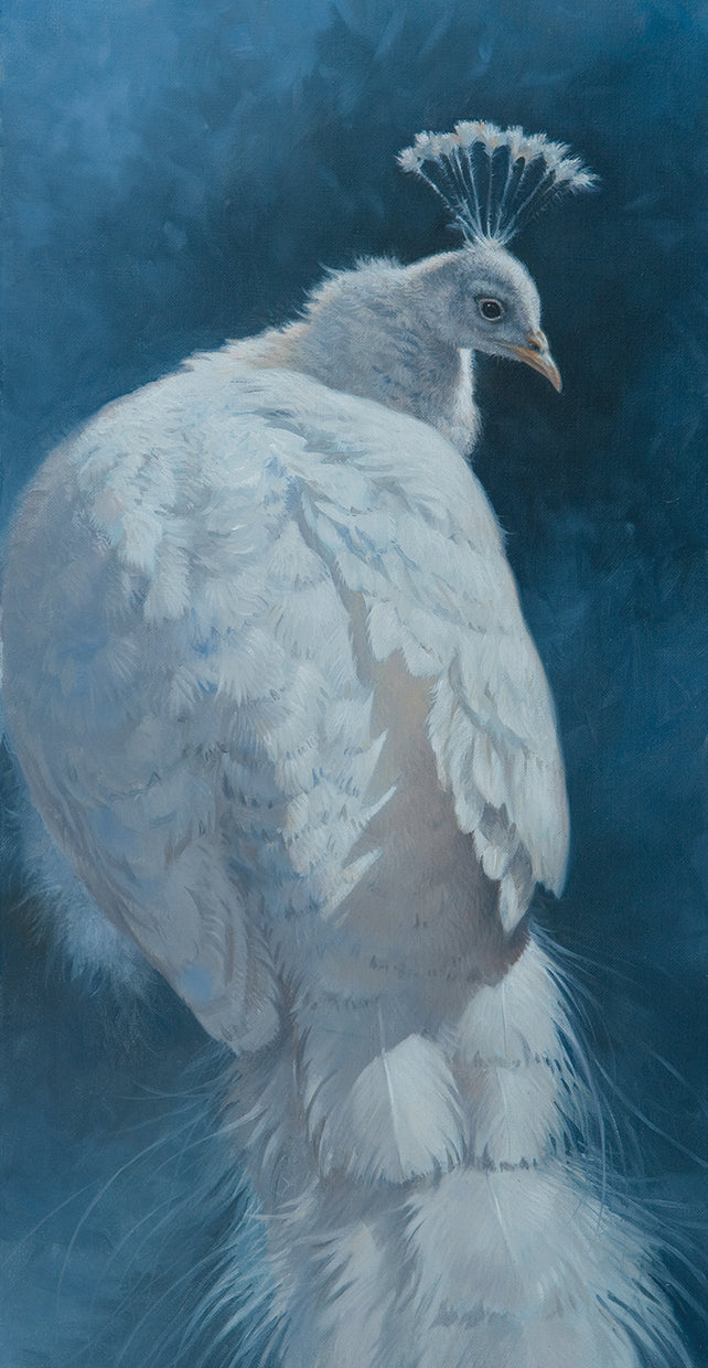 white-peahen-michael-jackson