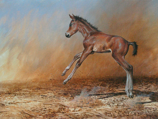 Foal Jumping For Joy Canvas Art