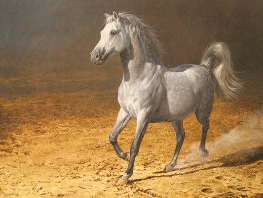 White horse Running Canvas Art