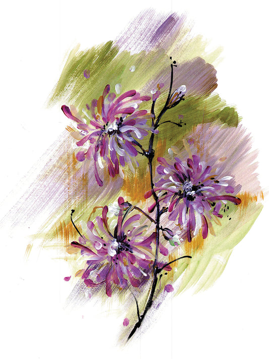 Chrysanthemum Canvas Art