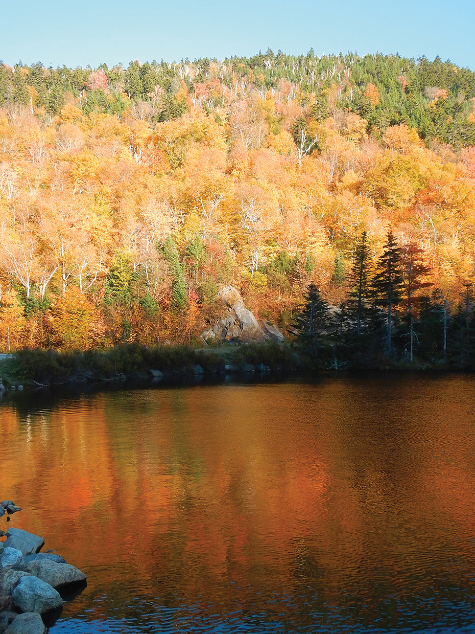 Colorful Reflection 2